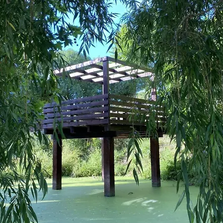 Da Silva Surf Four דירה